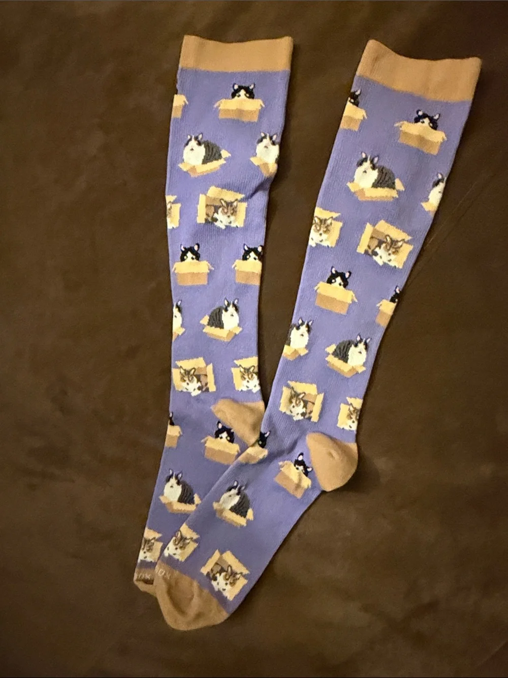 Women’s Fun Patterned Knee-High Socks - Blue, Pink, Purple, Teal
